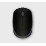 Mouse